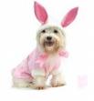 dogbunny