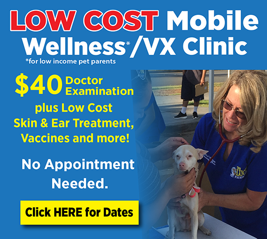 55 Top Pictures Mobile Pet Spay And Neuter - Low-Cost Spay & Neuter Clinic for Pets Comes to Cathedral ...